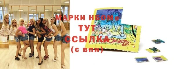 гидра Пестово