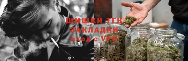 гидра Пестово
